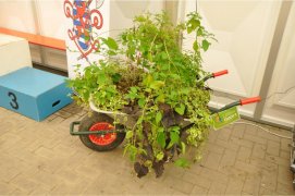 Fédération Nationale des Pompiers