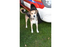 Fédération Nationale des Pompiers