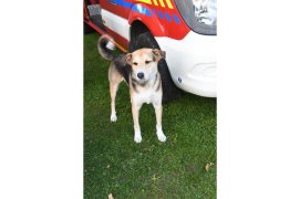 Fédération Nationale des Pompiers